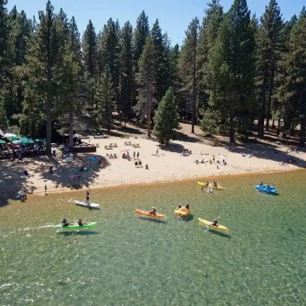 a flock of birds sitting on top of a lake